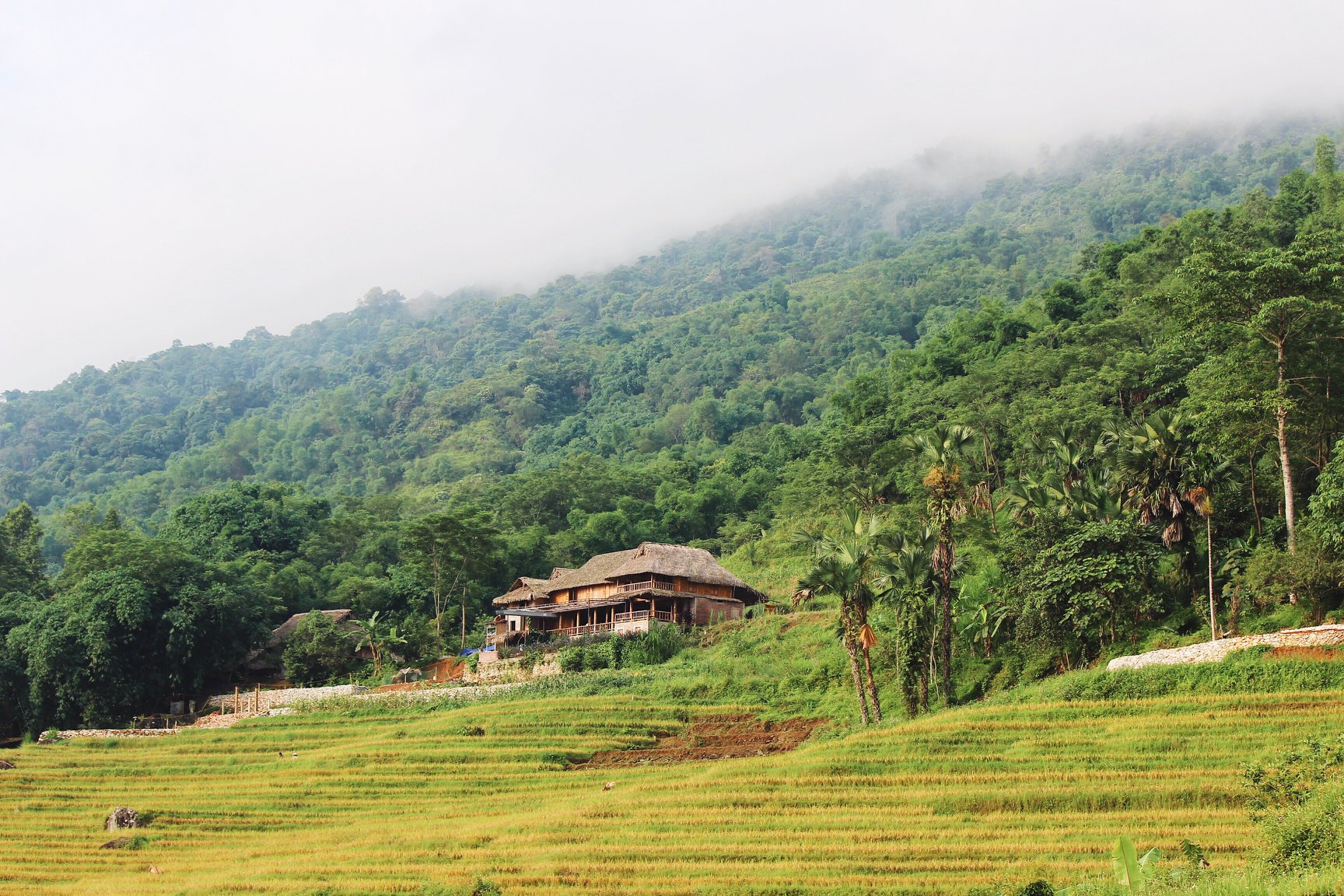 Pù luông Thanh Hóa Pù luông Thanh Hóa