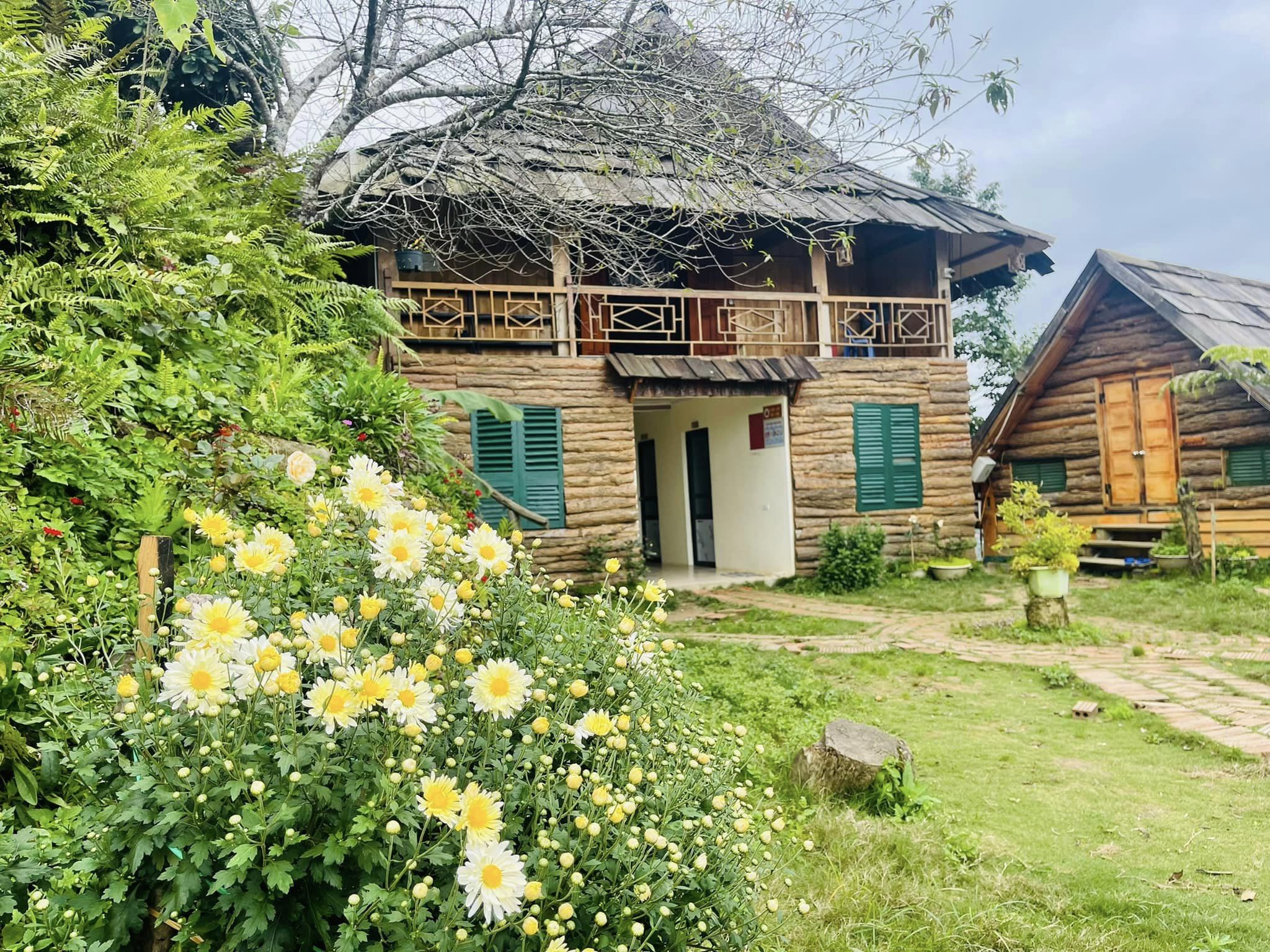 Đỉnh Tà Xùa homestay