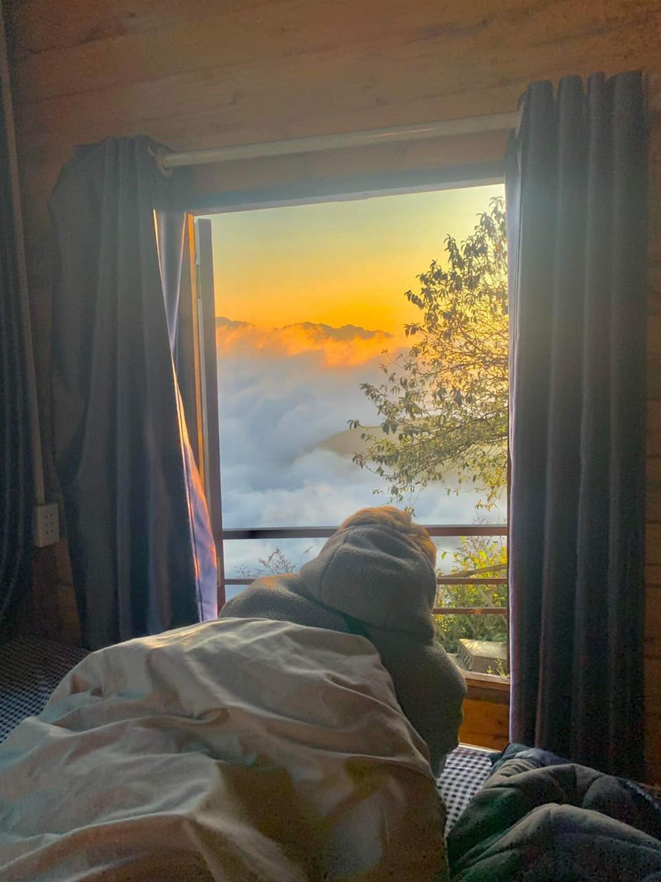 view Đỉnh Tà Xùa homestay