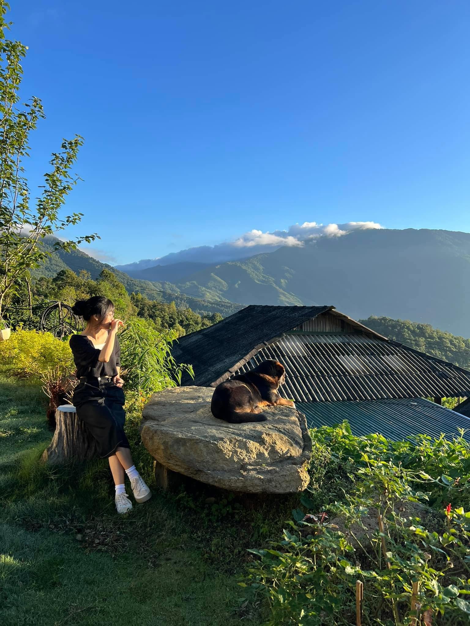 View Pơ mu Homestay