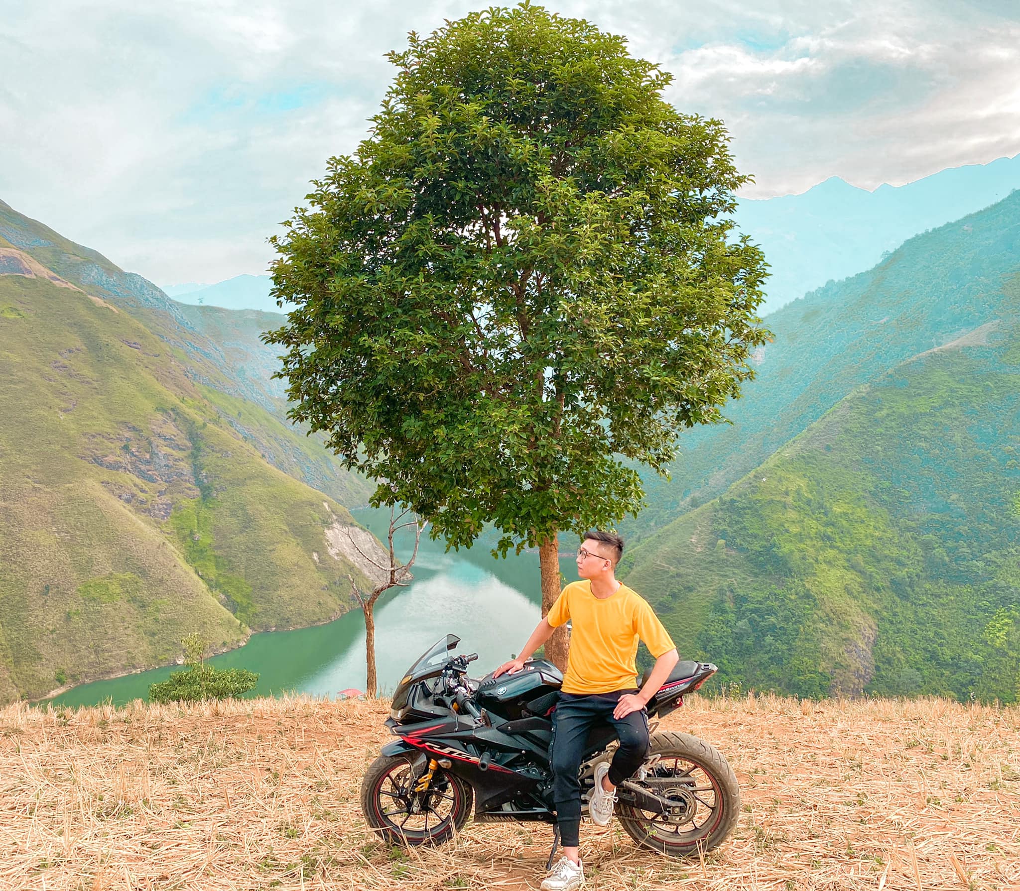 cây cô đơn Tà Xùa