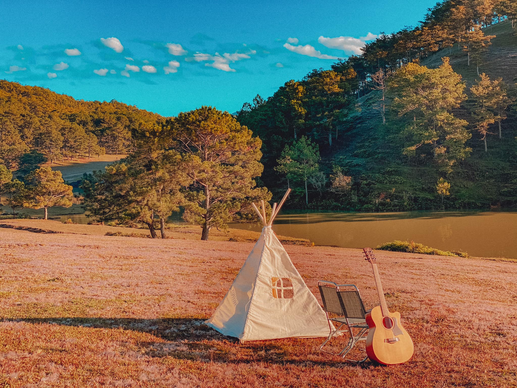 đồi cỏ hồng Đà Lạt đồi cỏ hồng Đà Lạt