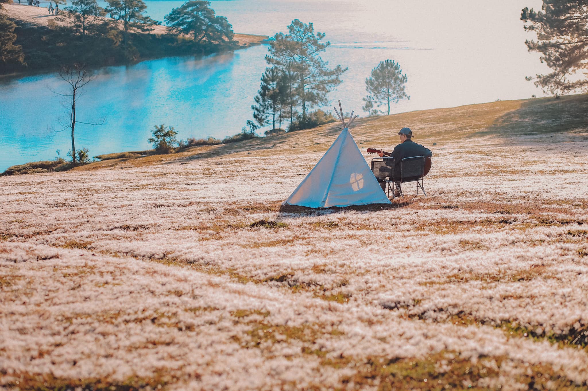 đồi cỏ tuyết Đà Lạt đồi cỏ tuyết Đà Lạt