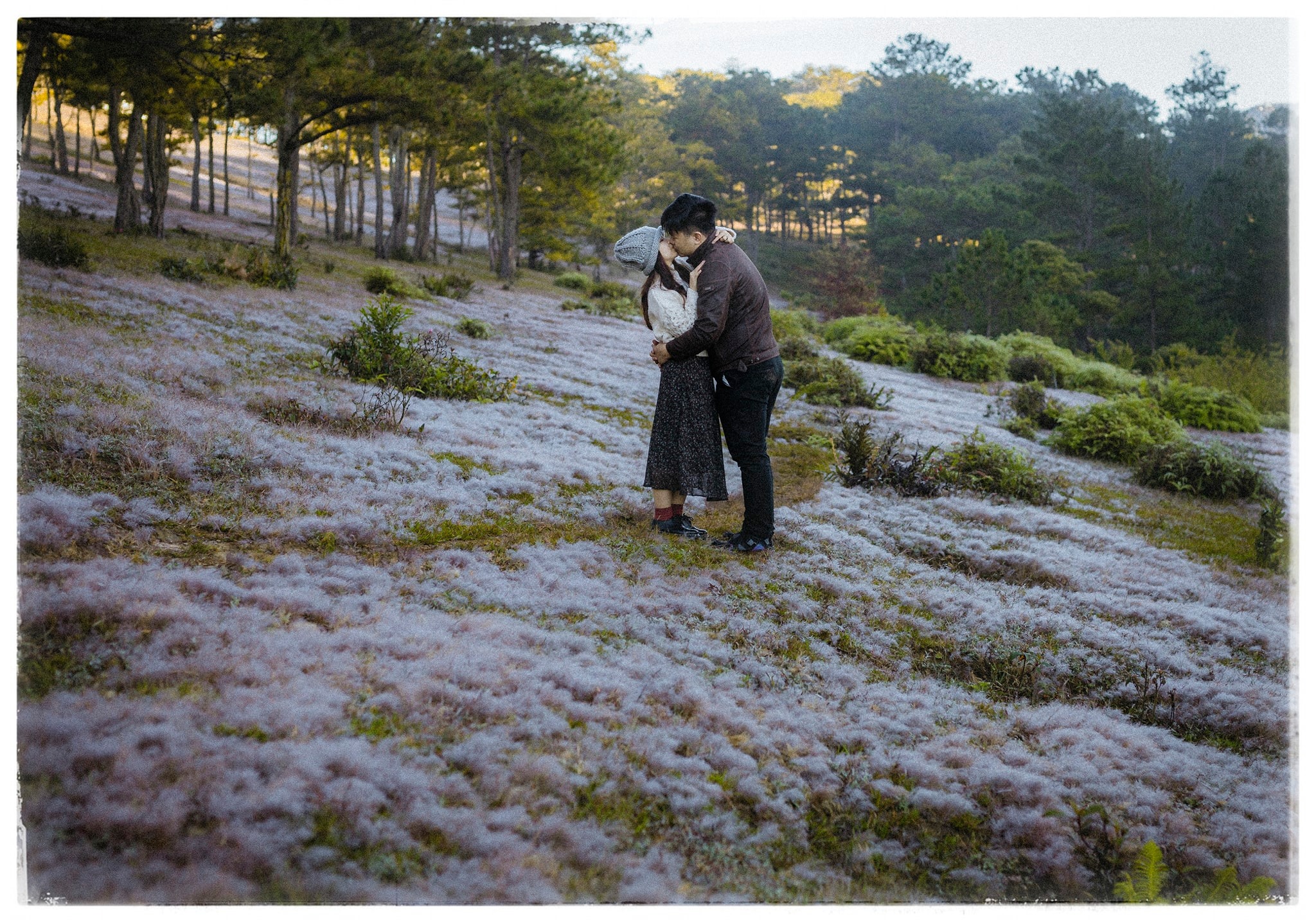 đồi cỏ tuyết Đà Lạt đồi cỏ tuyết Đà Lạt