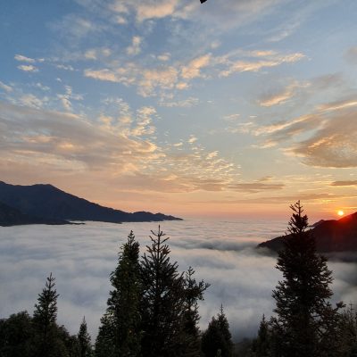 Kinh Nghiệm Săn Mây Tà Xùa Chi Tiết Từ A Đến Z Năm 2023