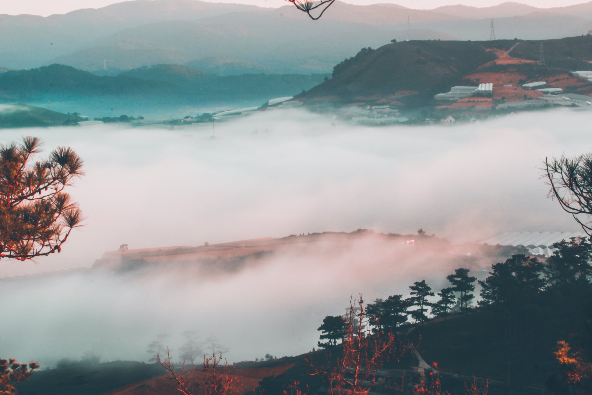 săn mây đồi cỏ trọc