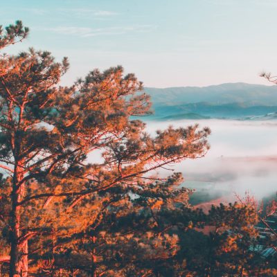 Đồi Trọc (Đồi Cô Dâu) – Điểm Săn Mây Cực Chất Cách Đà Lạt 10km