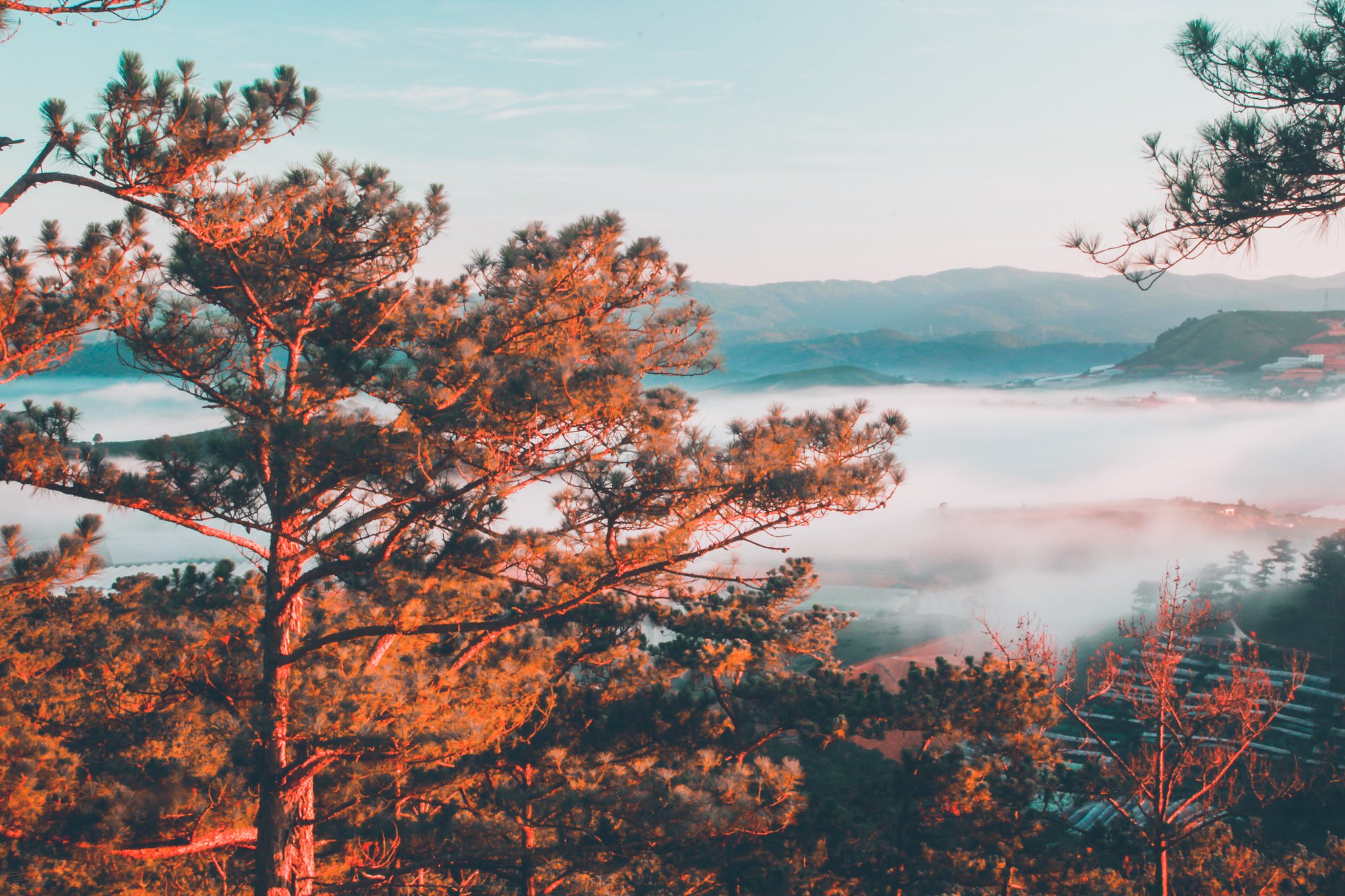 săn mây đồi trọc