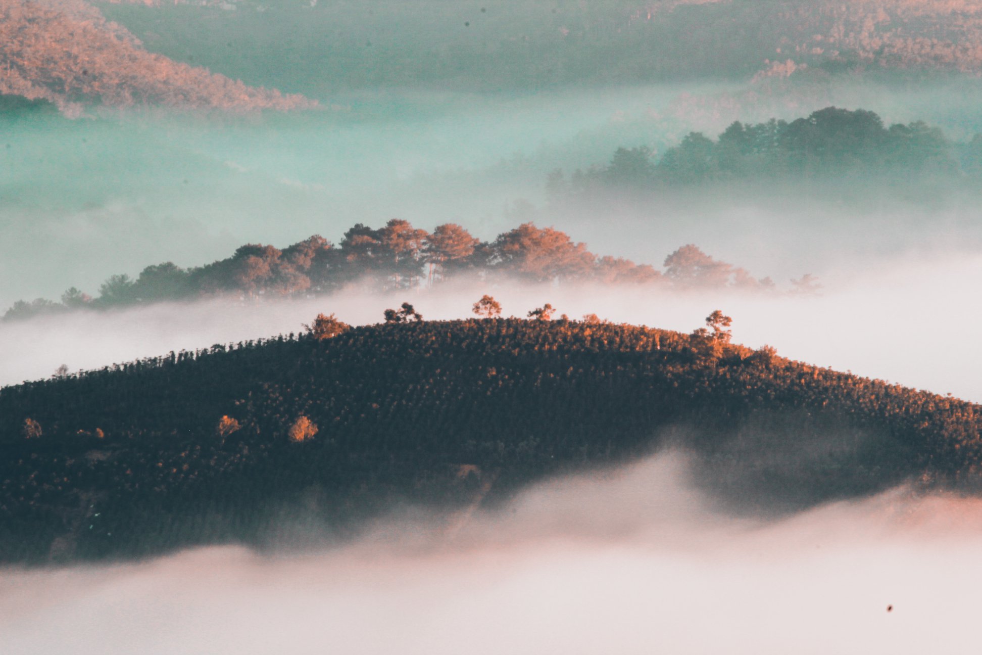 săn mây ở đồi trọc