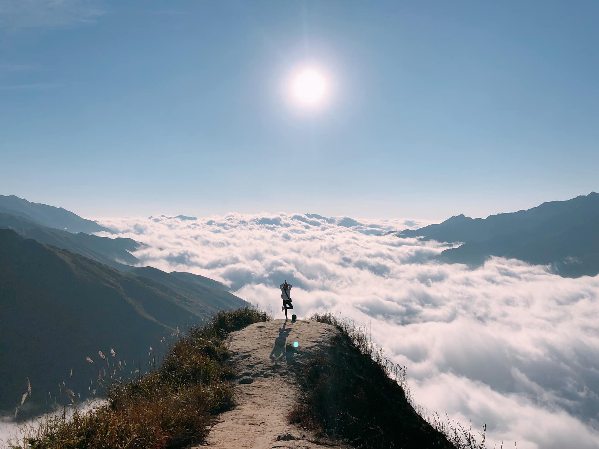 sống lưng khủng long Tà Xùa