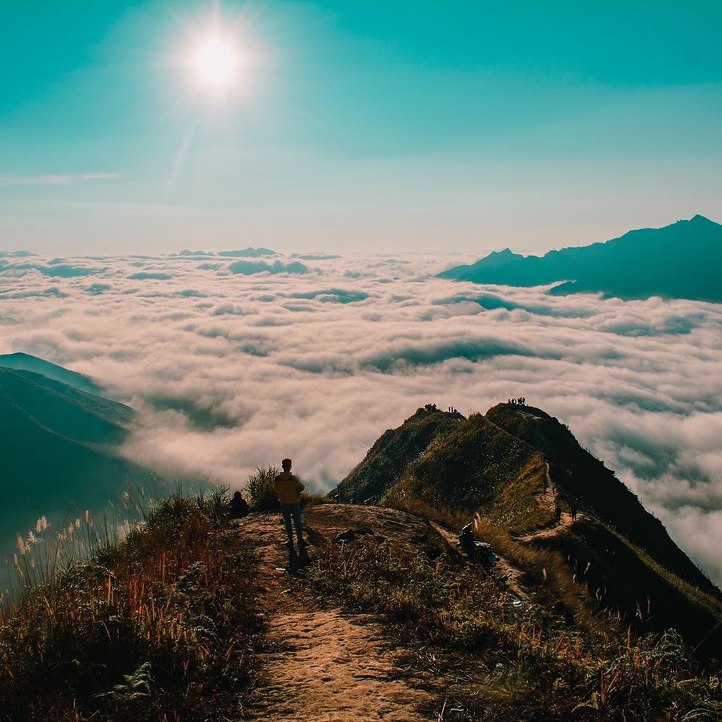 sống lưng khủng long Tà Xùa