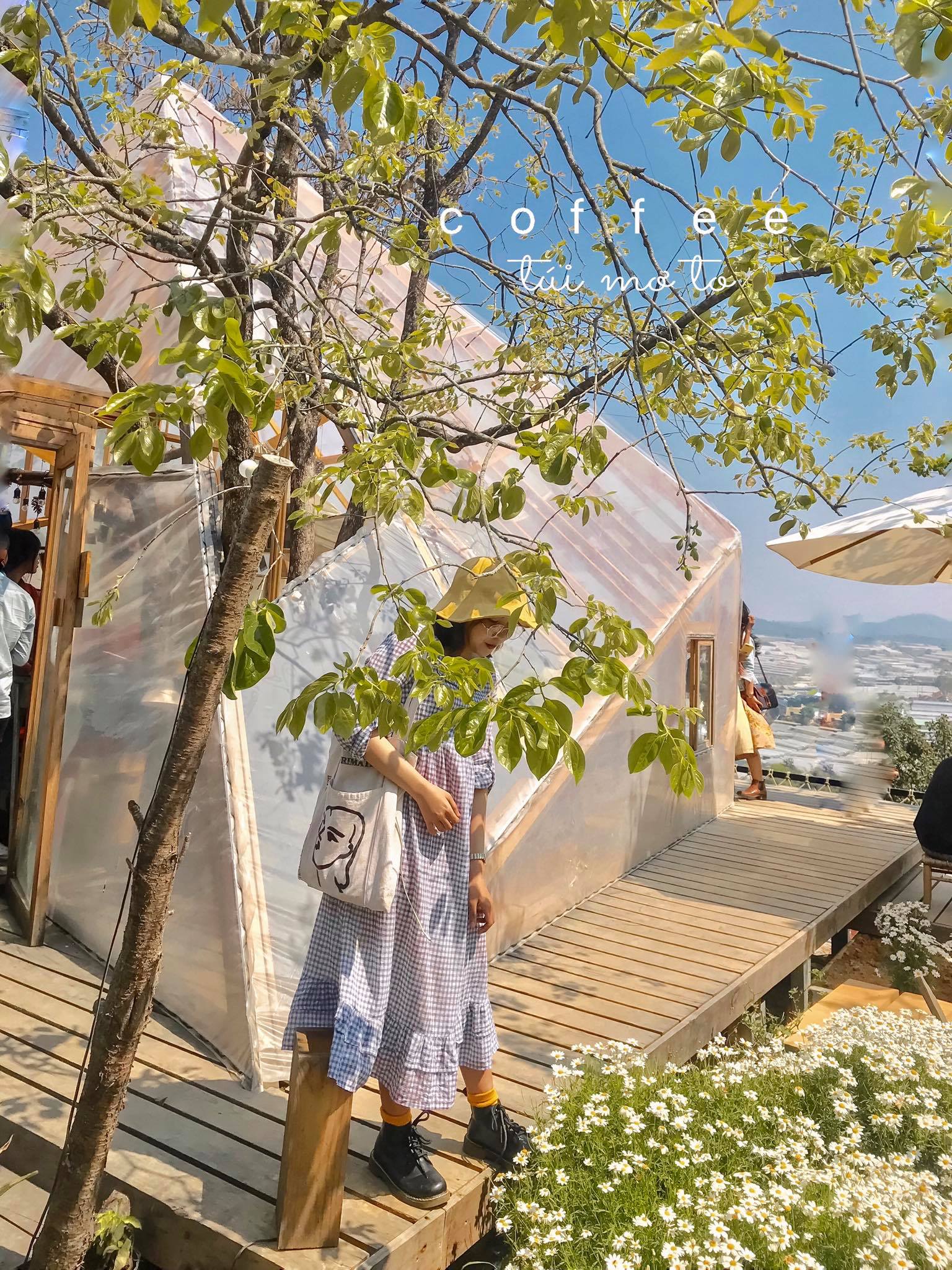 tiệm cafe Túi Mơ To tiệm cafe Túi Mơ To