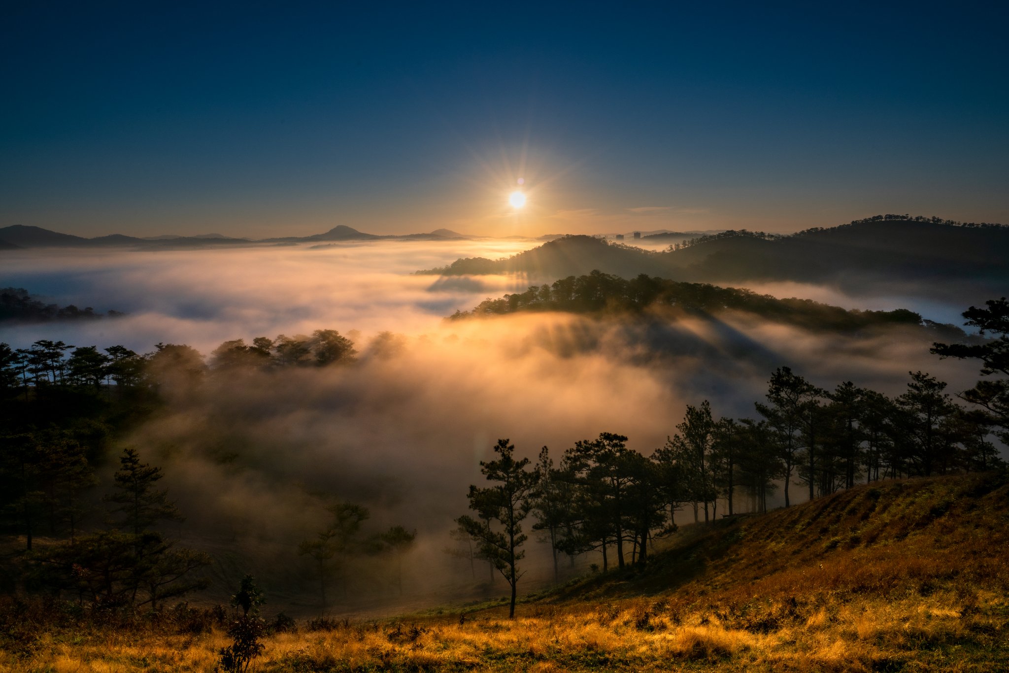 bình minh trên đồi trọc