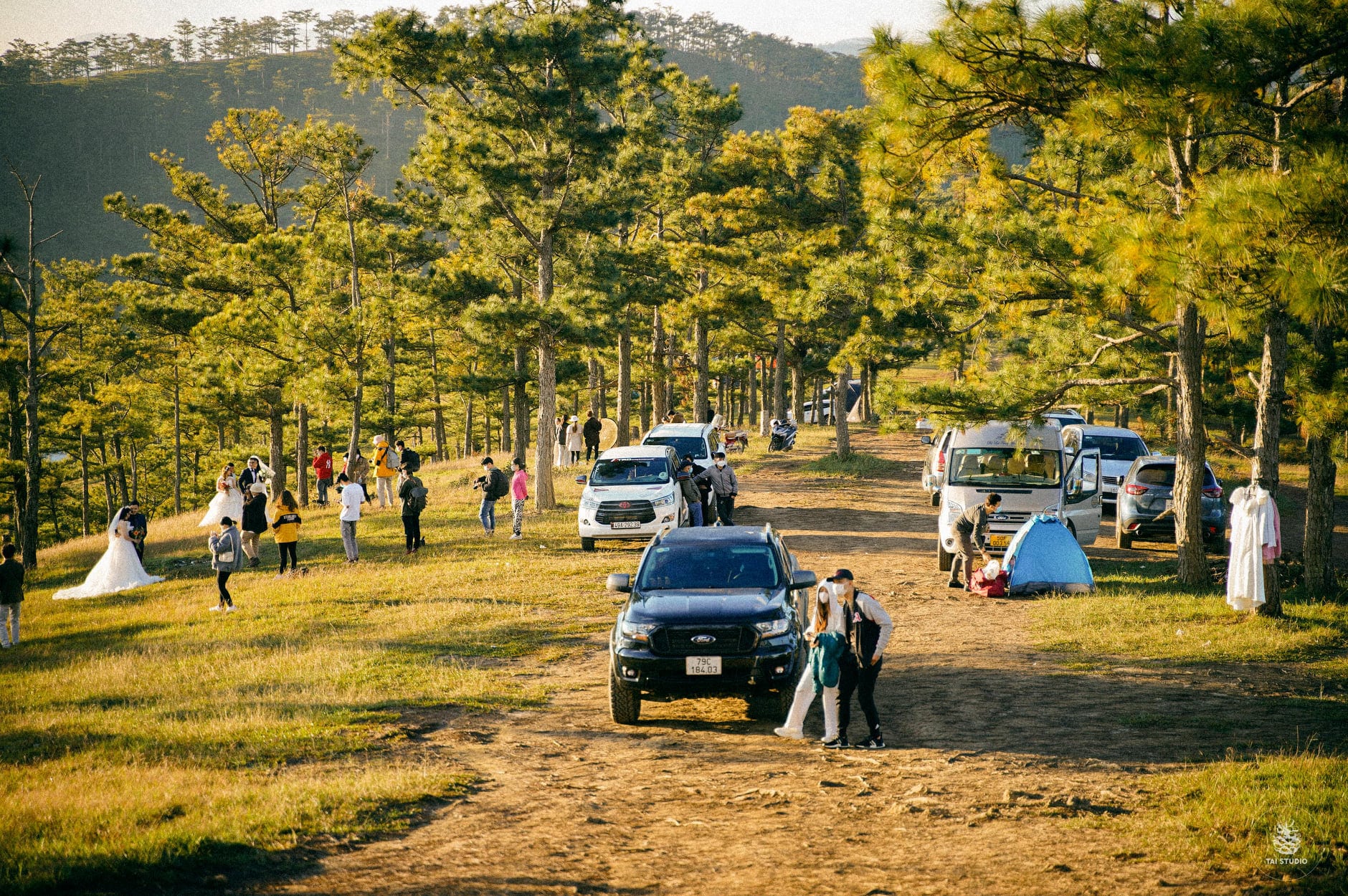 chụp ảnh cưới ở đồi cô dâu