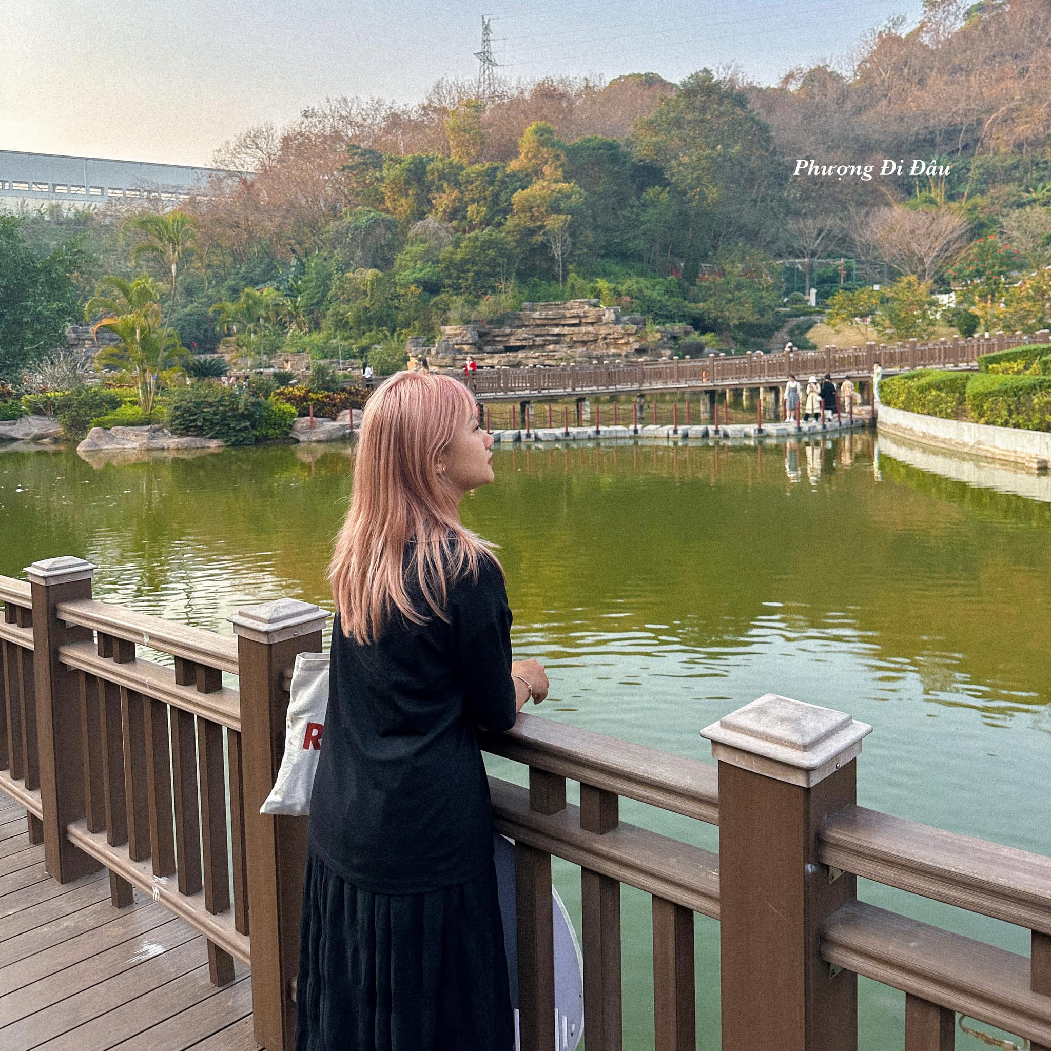 công viên ánh sáng công viên ánh sáng