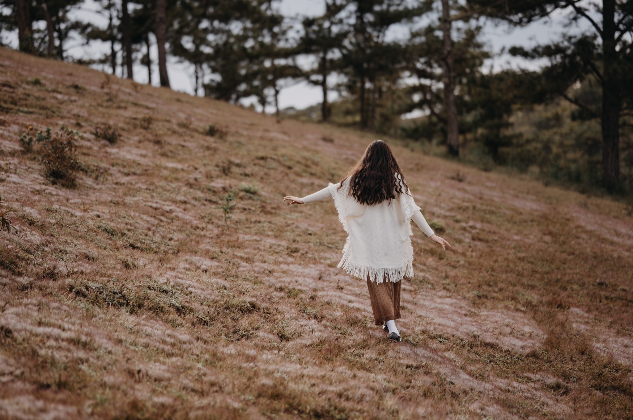 checkin đồi cỏ hồng checkin đồi cỏ hồng