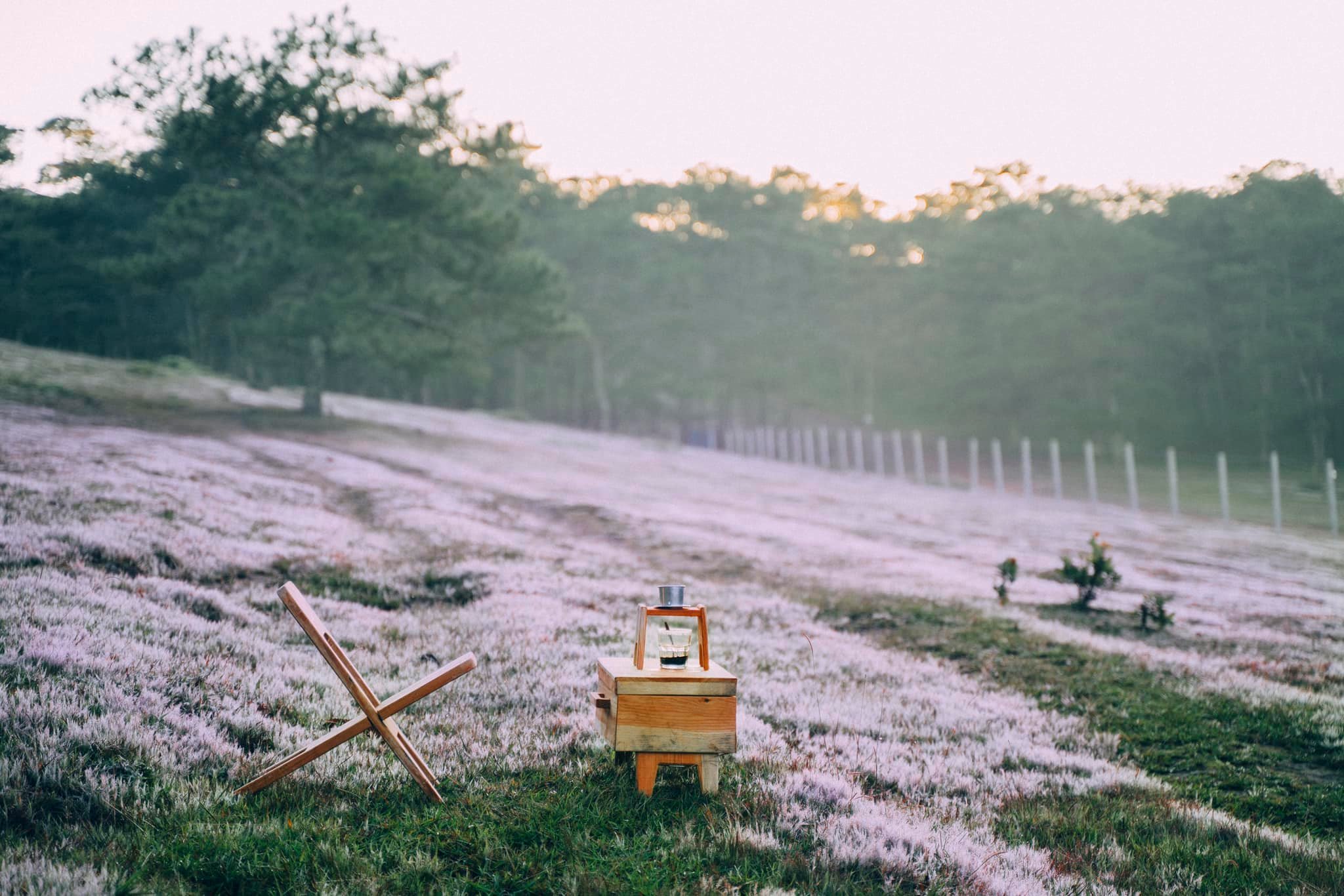 đồi cỏ hồng thung lũng vàng đồi cỏ hồng thung lũng vàng