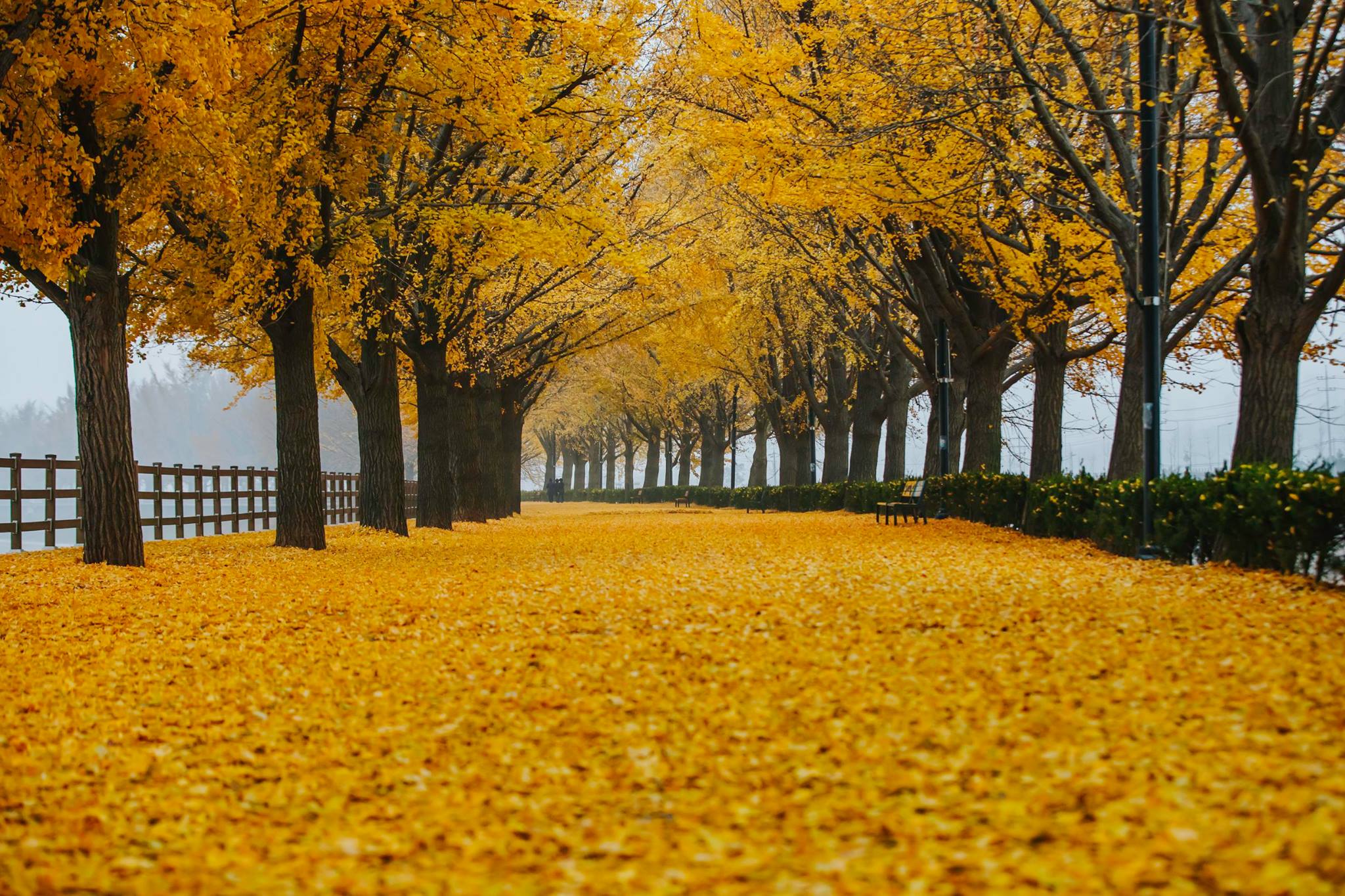 lịch trình du lịch Hàn Quốc